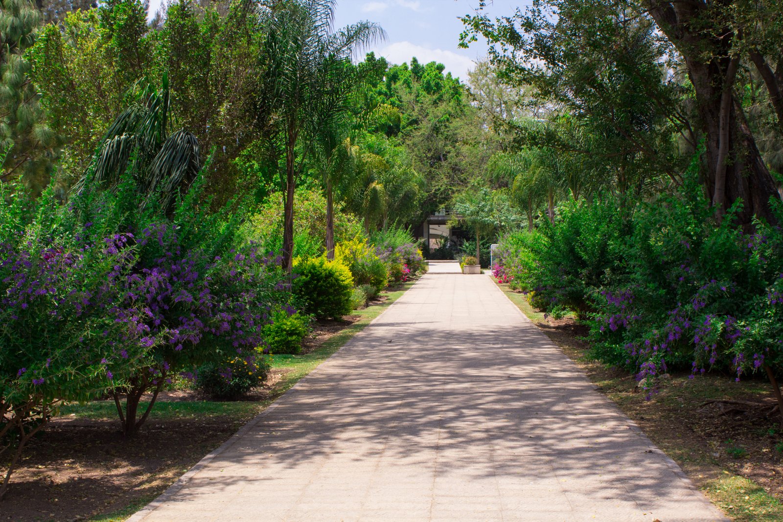 Foto a la entrada de los jardines de posgrados