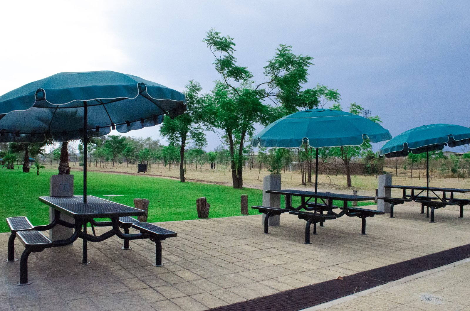 Foto del ciber jardin de CUCEA