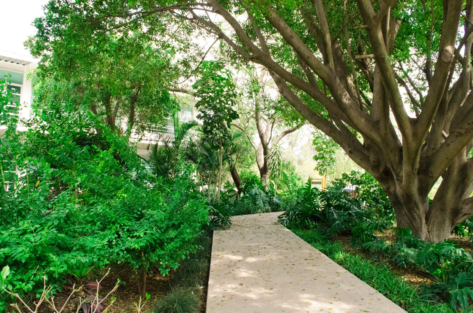 Foto de los jardines de posgrado