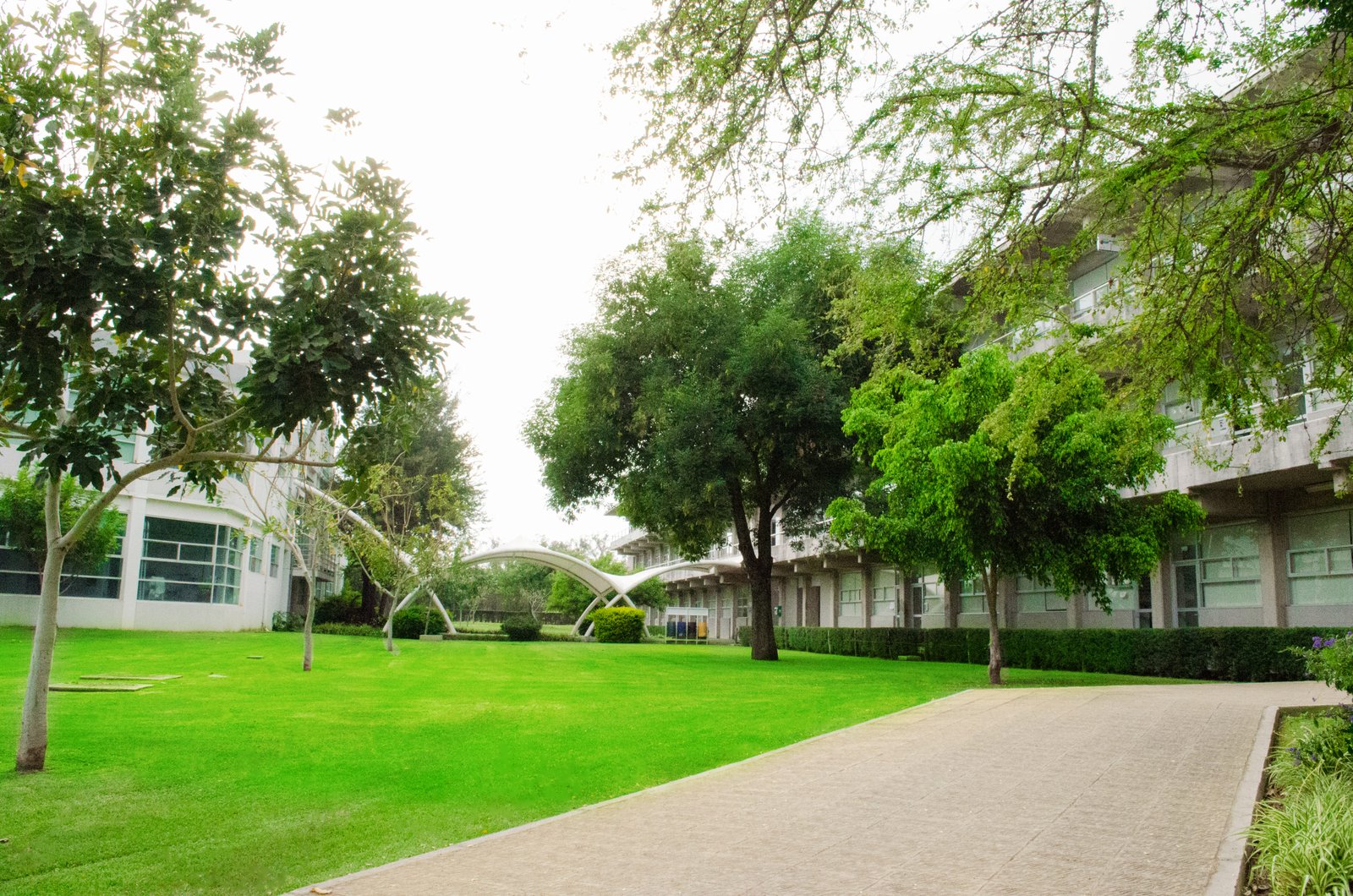 Foto del modulo de posgrados en área verde de jardines